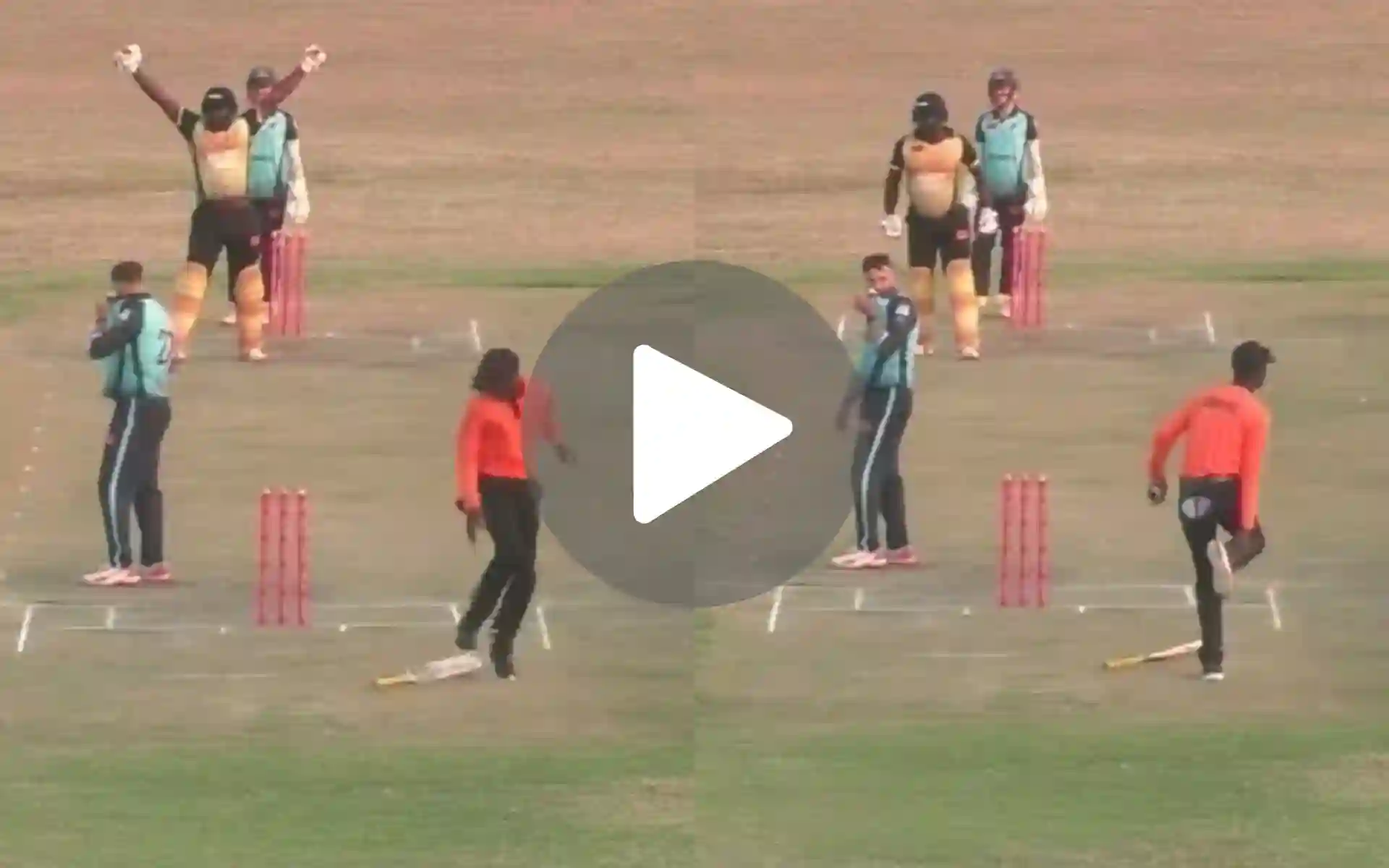 [Watch] ZIM Batter Hits Umpire With His Bat After Pulling Off An MS Dhoni Style Finish